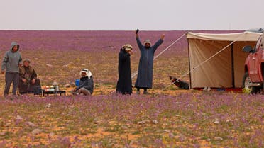 Men gather in a field covered with lavender-coloured blooms in Rafha town, near the border with Iraq, on February 13, 2023. (AFP)