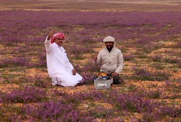 Two men prepare tea in a field covered with lavender-coloured blooms in Rafha town, near the border with Iraq, on February 13, 2023. (AFP)