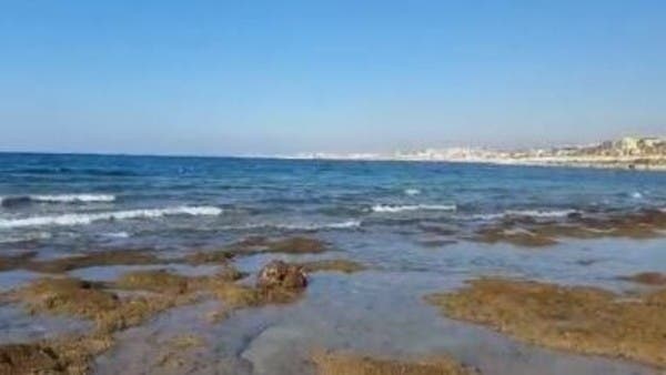 The receding of sea water is causing a stir in Lebanon and Egypt..and experts explain