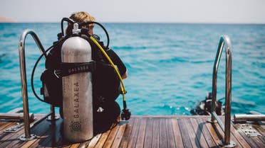 Galaxea is named after a bold and vibrant coral prevalent in the Red Sea and will offer diving experiences that let guests explore life below the water. (Supplied)