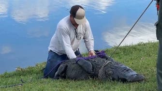 US woman walking dog near golf course dies after alligator attack