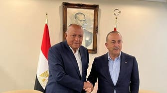 مصری وزیرخارجہ کا دورۂ شام اورترکیہ؛ امدادی سامان کی تقسیم کی نگرانی 