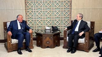 سامح شکری: پیام السیسی را به بشار اسد منتقل کردم
