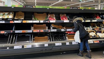 UK government calls in supermarket bosses for salad crisis talks