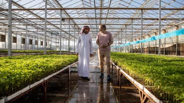 Saudi Arabia’s $500 billion mega project NEOM has announced an initiative to inspire and nurture a new generation of Saudi chefs as part of its ambitious goal to become “the world’s most food self-sufficient city”. (Supplied: NEOM)