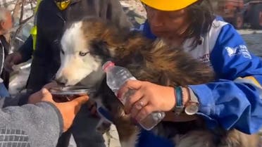 This handout photograph taken and released by Turkish agency DHA (Demiroren News Agency) on March 1, 2023 shows rescues feed a dog with water from a collapsed building 23 days after last month's 7.8-magnitude deadly earthquake. (AFP)