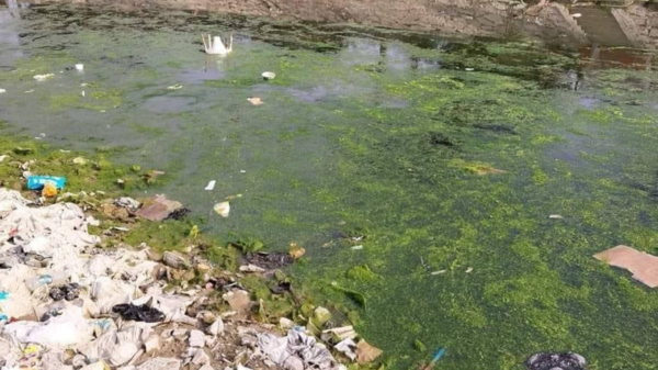 مياه آسنة وصرف صحي.. حال دجلة العراقي يفطر القلوب