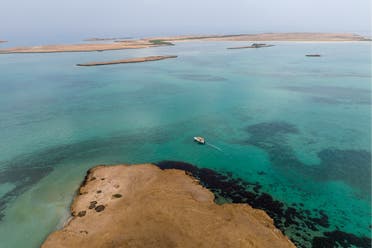جانب من البيئات في السعودية
