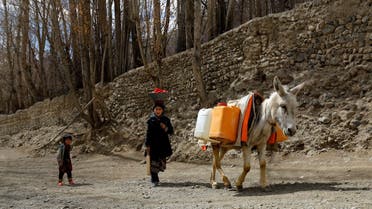 Children walk beside a donkey carrying goods in Bamiyan, Afghanistan, March 2, 2023. (Reuters)
