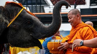 Elephants honored in Thailand as part of nation’s heritage