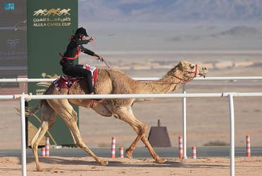 انطلاق منافسات كأس العلا للهجن تحت رعاية ولي العهد السعودي 5 من المنافسات