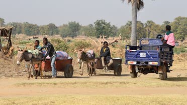 Children leading a donkey-drawn cart carrying goods arrive to cross the border in Yemboate, the northern Togo border post with Burkina Faso, on February 17, 2020. (AFP)