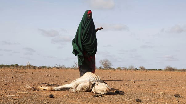 Somalia’s drought killed 43,000 last year, half under five: Study 