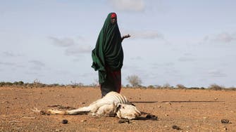 US announces $524 million for Horn of Africa drought, climate change crisis
