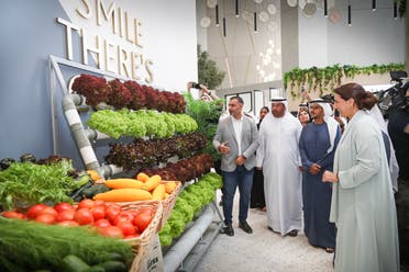 The Ministry of Climate Change and the Environment’s recent statistics show that there are currently 38,000 farms operating in the UAE. (Supplied)