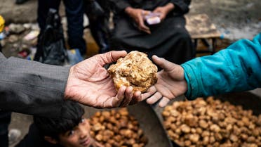 A customer buys a desert truffle from a merchant in a market in Syria's rebel-held northern city of Raqa on March 14, 2023. (AFP)