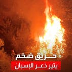 مشاهد مروعة لأول حريق ضخم يندلع في إسبانيا هذا العام