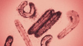 UAE again warns against dangerous Marburg virus