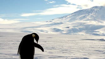 Rapidly melting Antarctic ice could impact oceans ‘for centuries’ 