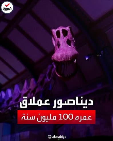 هيكل عظمي لديناصور ضخم عمره 100 مليون سنة