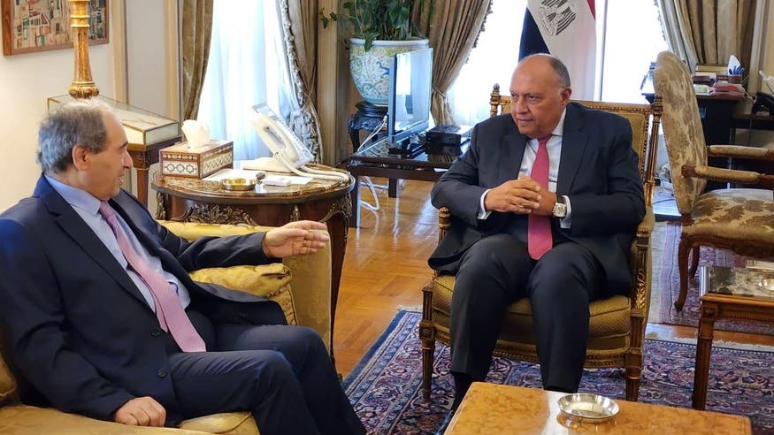 وزير خارجية مصر: ندعم تسوية شاملة للأزمة السورية