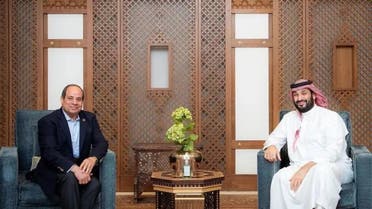 سعودی ولی عہد شہزادہ محمد بن سلمان اور مصری صدر السیسی