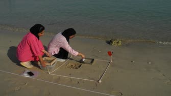 UAE ministry launches marine plastic waste monitoring program