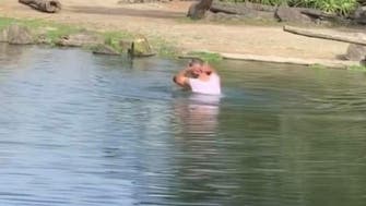 Video: Man takes bath in rhino enclosure in New Zealand zoo, arrested