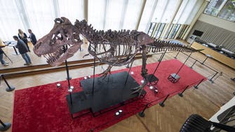 Skeleton of 67-million-year-old T-rex sells for $6.2 million in Switzerland