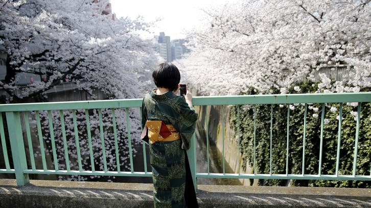 Visitors to Japan in March at post-COVID-19 high, lured by cherry blossoms