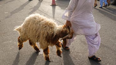 A man holds a sheep at a livestock market during Eid al-Adha, the Muslim festival of sacrifice in Dubai, United Arab Emirates, July 9, 2022. REUTERS/Amr Alfiky