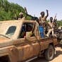 Sudan paramilitary fighters take over Khartoum museum: Director