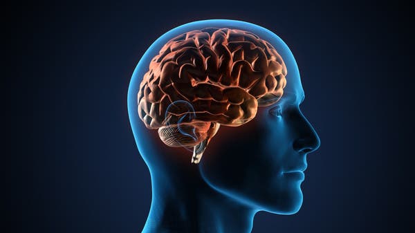 “6 Tips for Maintaining a Healthy Brain as You Age”