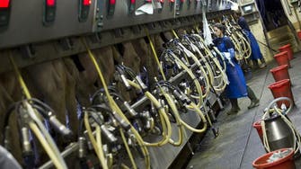 Israel faces higher food costs as milk prices spike 