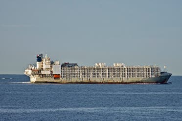 In this April 6, 2019, file photo, the 11,947-ton Gulf Livestock 1 cargo vessel sails through Port Phillip heading into Bass Strait off Australia's Victoria state coast, Australia. (File photo: AP)