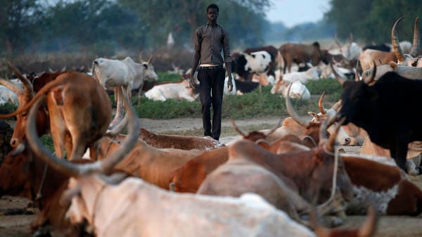  مصر تتفق على استيراد الماشية من جيبوتي
