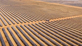 "سكاتك" النرويجية تدرس 5 مشروعات للطاقة المتجددة في مصر