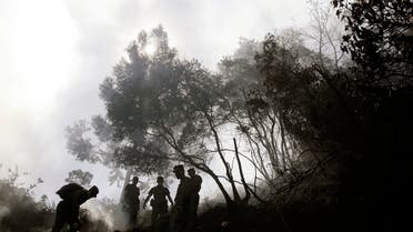 Colombian policemen try to extinguish fire in a burning forest in Cota village near Bogota, February 7, 2007. (Reuters)