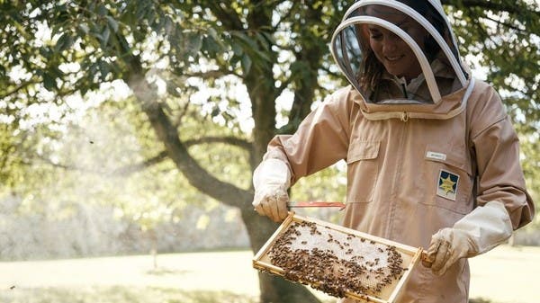 “Princess of Wales Celebrates World Bee Day with Buckingham Palace’s Beekeeping Team”