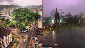 Sierra Leone’s historic tree, a symbol of freedom, lost in rainstorm
