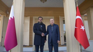 Turkish President Recep Tayyip Erdogan receives Emir of Qatar, Sheikh Tamim bin Hamad Al Thani, in Istanbul, Turkey, February 12, 2023. (Qatar News Agency via Reuters)