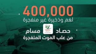 "مسام" يعلن نزع 400 ألف لغم وذخيرة في اليمن خلال 5 سنوات  