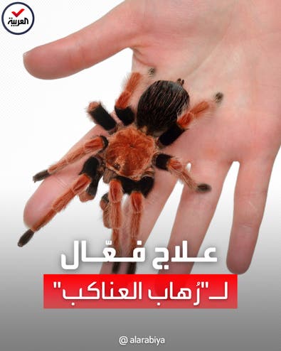 حديقة حيوان في لندن تقدم علاجاً فعّالاً لـ"رُهاب العناكب"
