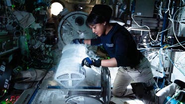 Saudi astronaut Rayyanah Barnawi onboard ISS. (Supplied: Axiom)