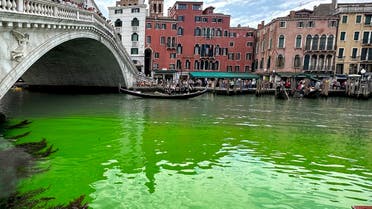 Gondolas navigate by the Rialto Bridge on Venice's historical Grand Canal as a patch of phosphorescent green liquid spreads in it, Sunday, May 28, 2023. (AP)