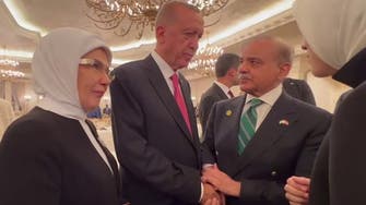   شہباز شریف اور ترک صدر کے درمیان خوشگوار انداز میں گفتگو، پاکستانی آموں کی تعریف 
