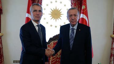 Turkey’s President Recep Tayyip Erdogan shakes hands with NATO Secretary General Jens Stoltenberg in Istanbul, Turkey, June 4, 2023. (Handout via Reuters)