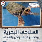 حول العالم | قصة نجاح في حماية السلاحف البحرية من خطر الانقراض