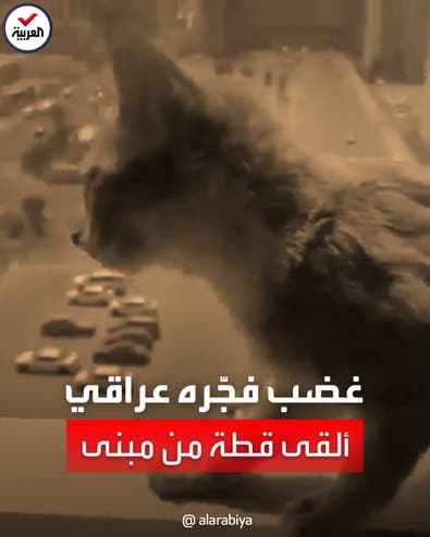فيديو يشعل الغضب في الشارع العراقي.. شاب يعذب قطة ويلقيها من الطابق التاسع