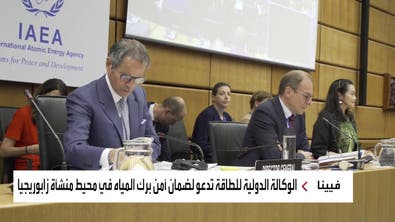السفير الروسي في فيينا يرد على غروسي عبر العربية حول منشأة زابوريجيا النووية